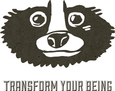 Tanuki Head